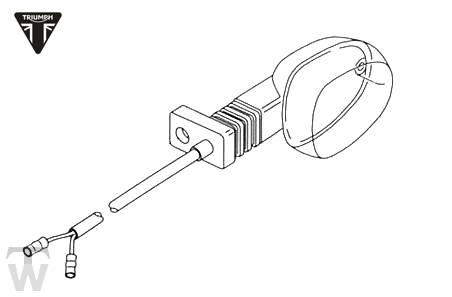 Blinker (nur 1x lagernd) Tiger 955i (Speiche)