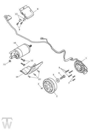 Anlasser Lichtmaschine - Tiger 1200 Rally Pro