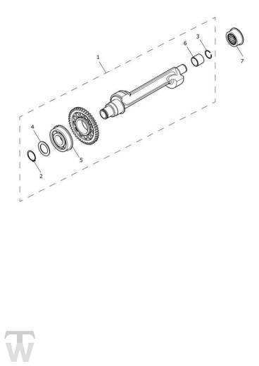 Ausgleichswelle - Trident 660