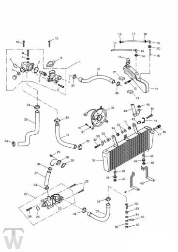 Kühlung - Sprint RS 955 bis FIN 139276