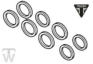 Bremszange RepSatz vorn (nur 1x lagernd) Speed Triple 955i ab FIN141872