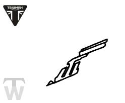 Bremsbelag Haltefeder Thunderbird Night/Storm