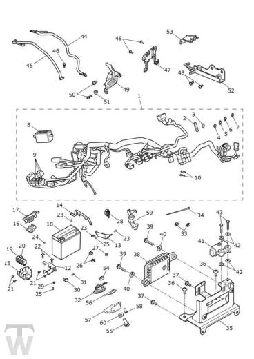 Hauptkabelbaum Elektrik - Thunderbird Commander