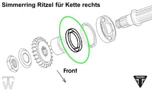 Simmerring Ritzel America EFI ab 468390