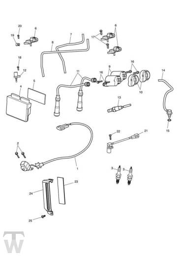 Motormanagement - Speedmaster EFI bis FIN 469049