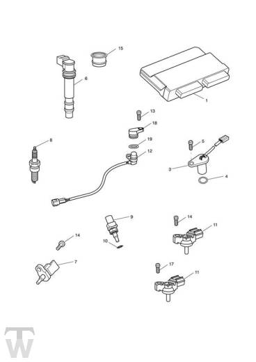 Motormanagement - Speed Triple R bis 735336