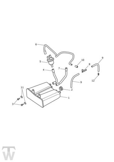 EVAP System up to VIN 833613 - Thruxton 1200