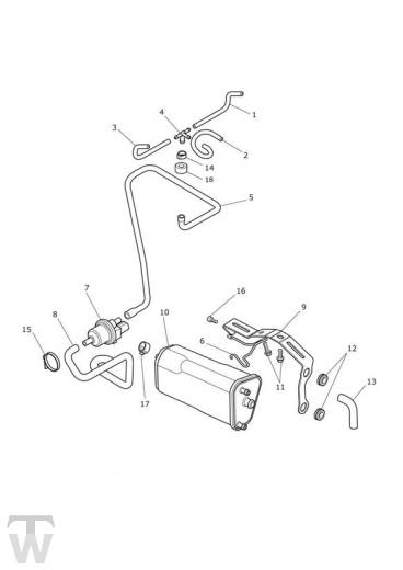 EVAP System up to VIN 761795 - Tiger XCx up to VIN 855531