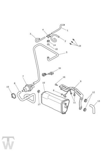 EVAP System from VIN 761796 - Tiger XR up to VIN 855531