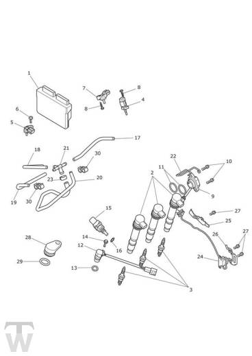 Motormanagement - Tiger XCA bis FIN 855531