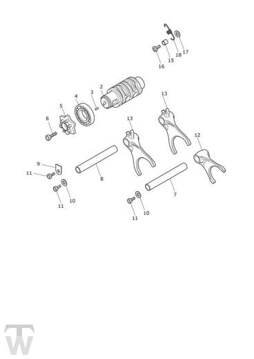 Gear Selector Drum - Tiger 900 GT Pro