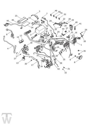 Hauptkabelbaum - Speed Twin bis FIN AE2310