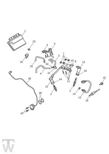 Motormanagement - Speed Twin bis FIN AE2310