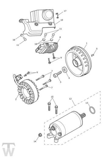 Anlasser Lichtmaschine - Thruxton RS