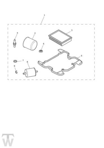 Servicekit - Thruxton RS