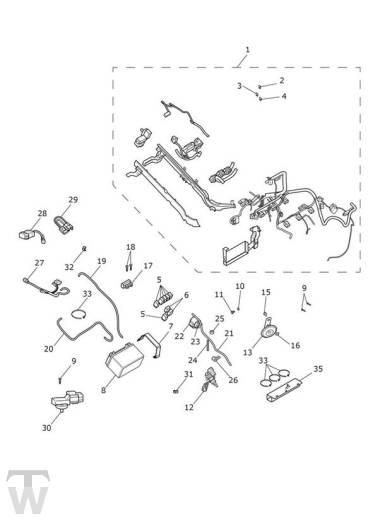 Hauptkabelbaum Elektrik - Street Triple S 660 von FIN 803572-967906