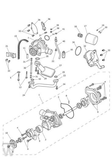 Oilpump Lubrication - Tiger 900