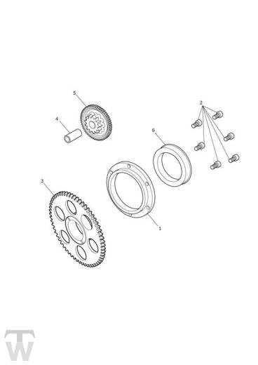 Sprag Clutch - Tiger 900 GT