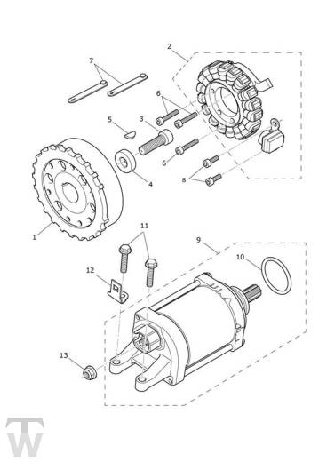 Anlasser Lichtmaschine - Tiger 900 GT