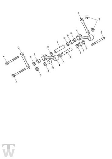 Federbein Umlenkung - Tiger 900 GT