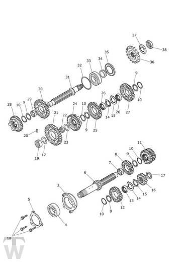 Getriebe - Tiger 900 GT