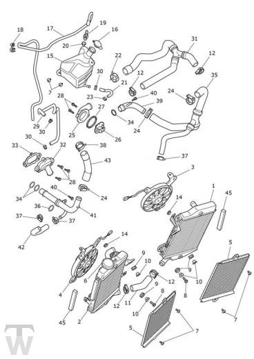Kühlung - Tiger 900 GT