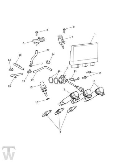 Motormanagement - Tiger 900 GT
