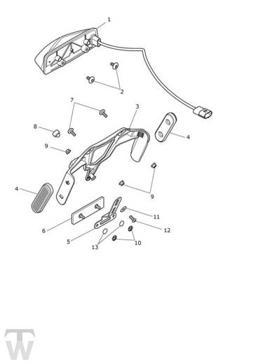 Blinker - Tiger 900 Rally