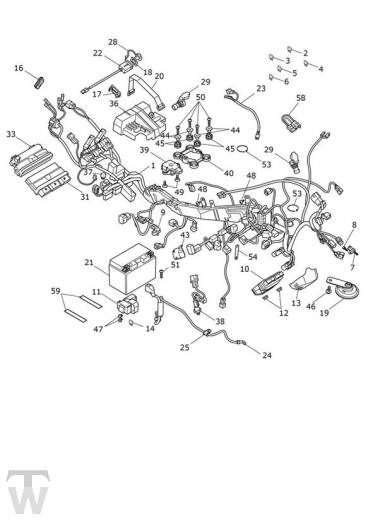 Electrical Equipment - Tiger 900 Rally