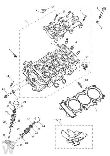 Zylinderkopf - Tiger 900 Rally Pro