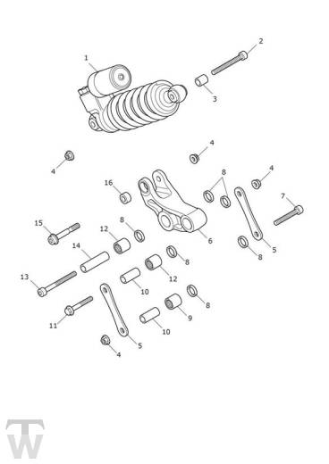 Federbein - Speed Triple 1200 RR