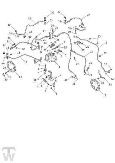 ABS - Speed Triple 1200 RR
