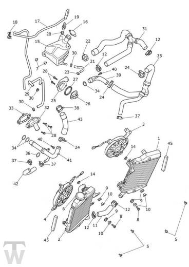 Kühler - Tiger 850 Sport