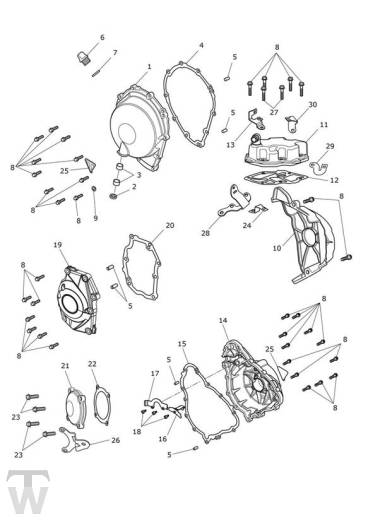 Motordeckel - Street Triple RS ab FIN BF1297