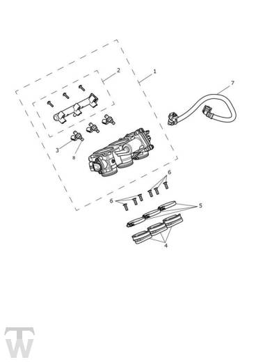 Einspritzung - Street Triple Moto2