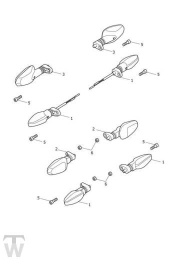 Blinker - Tiger 660 Sport