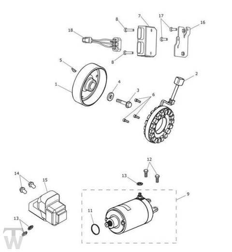 Anlasser Lichtmaschine - Tiger Sport ab FIN750470