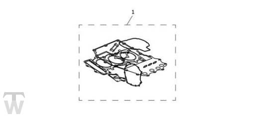 Motordichtsatz komplett - Tiger Sport ab FIN750470