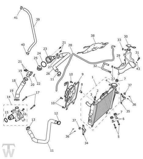 Kühlung - Tiger Sport ab FIN750470