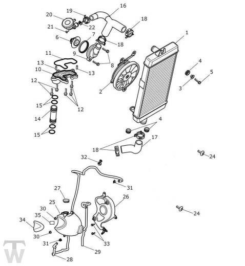Kühlung - Speed Twin 1200