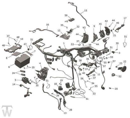 Hauptkabelbaum - Speed Twin 1200