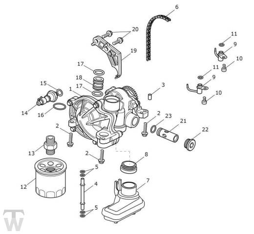 Ölpumpe Schmierung - Speed Twin 1200