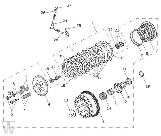 Kupplung - Street Triple S660 ab 967907