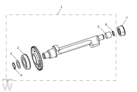 Ausgleichswelle - Tiger 900 GT Pro ab VIN BP5373
