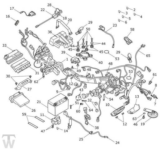 Hauptkabelbauem Elektrik - Tiger 900 GT Pro ab VIN BP5373