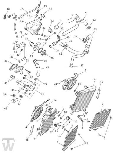 Kühlung - Tiger 900 GT Pro ab VIN BP5373