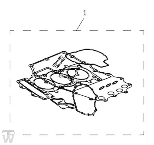 Motordichtsatz - TF250-C