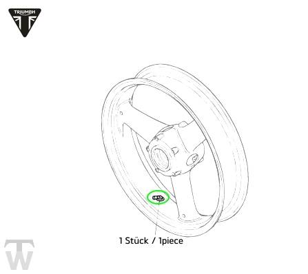 Ventil BREMBO Speed Triple Vergaser