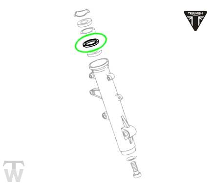 Gabelsimmerring  Tiger 955i (Speiche)