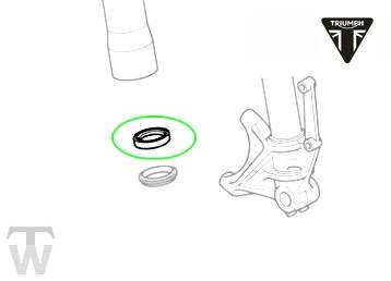 Fork Seal  Speed Triple R from VIN735437